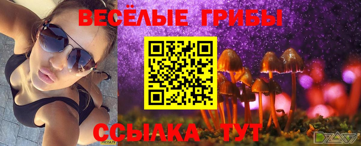 Галлюциногенные грибы Cubensis Холмск