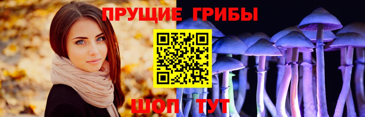 Псилоцибиновые грибы Cubensis  Галлюциногенные грибы мицелий  Холмск  Вход с VPN 